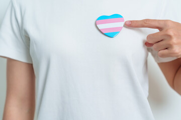 Transgender Day and LGBT pride month,  LGBTQ+ or LGBTQIA+ concept. hand holding blue, pink and white heart shape for Lesbian, Gay, Bisexual, Transgender, Queer and Pansexual community