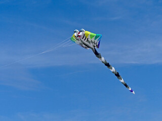 Berck-sur-Mer, April 2023 - Visit of the beach of Berck-sur-Mer - International Kite Festival 2023