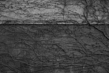 An afternoon at Marseilles