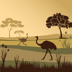 Fototapeta na wymiar Savannahl landscape with trees, grass and ostrich silhouettes. Vector illustration