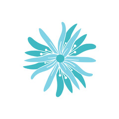 abstract flower illustration