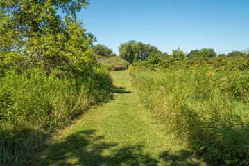 Raube Road Historical Site Of Wisconsin's Old Military Road Through Gallagher Marsh