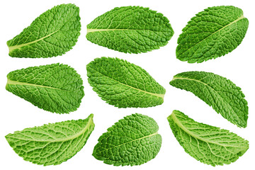mint leaves, spearmint, isolated on white background, full depth of field