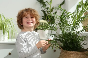 Cute little boy near beautiful green plants at home. House decor