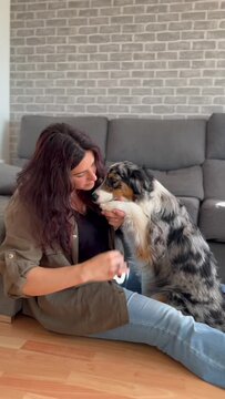 Young woman sitting on the floor of his living room combing her puppy (Australian Shepherd) with a brush. The female dog is sitting on the floor with her tongue out.