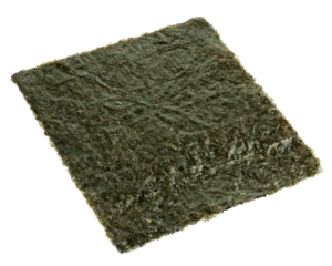 Nori leaf isolated on white background, full depth of field