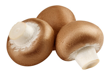 champignon, mushroom, isolated on white background, full depth of field