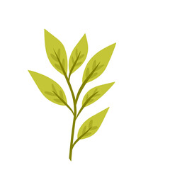 Fototapeta premium Botanical plant.decorative organic leaves.leaf illustration