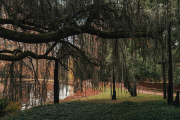 Parc de la Vallée aux Loups
