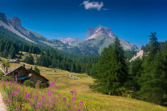 Beautiful mountain landscape of the valley in front of Mount Thabor, Alps,  France