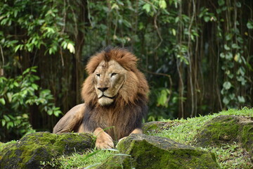 Wildlife photography