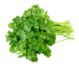 Coriander leaves isolated on white background, full depth of field