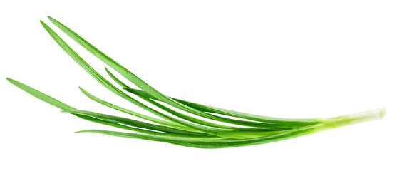 Green onion isolated on the white background, full depth of field