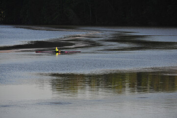 Early morning rowing club on lake