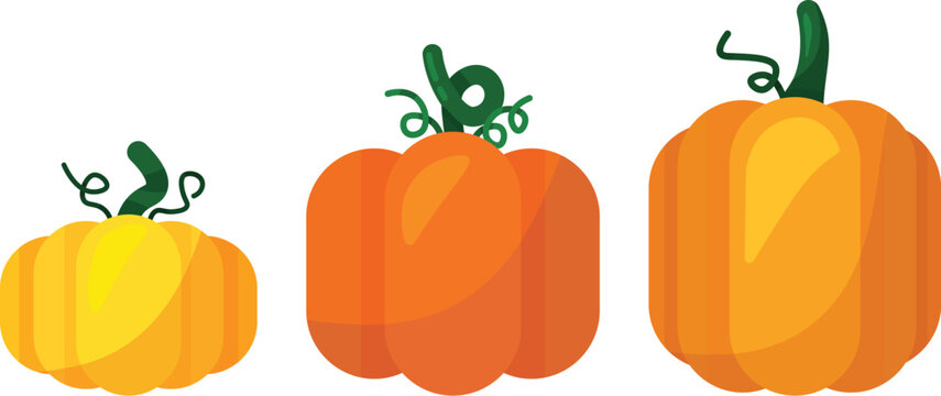 Pumpkin Vectors