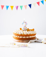 dog birthday cupcake, dog treats