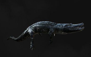 3D Illustration of american alligator isolated on dark background with clipping path, American crocodile. 