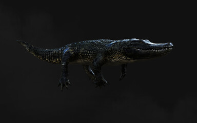 3D Illustration of american alligator isolated on dark background with clipping path, American crocodile. 