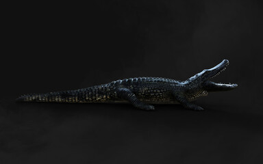 3D Illustration of american alligator isolated on dark background with clipping path, American crocodile. 