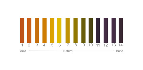 The interpretation chart of litmus paper in PH detection in sample solution : acidic or base.