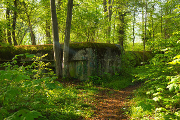 Bunker im Grand Ried