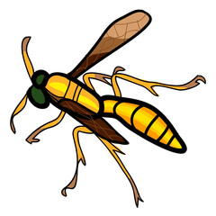 
Doodle Cartoon of Wasp in Circle Frame for Nature Themed Designs, Children's Books, Stationery and Greeting Cards.


