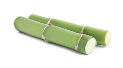 Pieces of beautiful green bamboo stems on white background