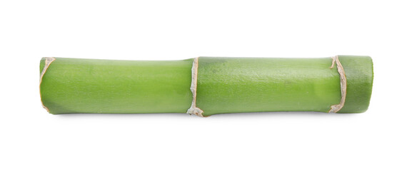 Piece of beautiful green bamboo stem on white background