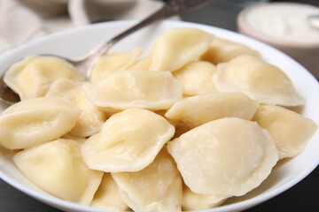 Fototapeta na wymiar Plate of delicious dumplings (varenyky) with cottage cheese, closeup