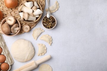 Process of making dumplings (varenyky) with mushrooms. Raw dough and ingredients on white table,...