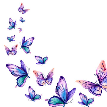 Morpho butterflies with pink-orange and blue wings. Watercolor illustration on an isolated background. Beautiful exotic insects. Packaging design, postcards.