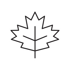 Maple leaf vector line icon. Leaf flat sign design. Leaf symbol isolated pictogram. UX UI icon of leave. Linear icon outline symbol