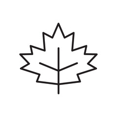Maple leaf vector line icon. Leaf flat sign design. Leaf symbol isolated pictogram. UX UI icon of leave. Linear icon outline symbol