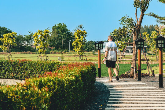 Back view of caucasian man holding a glass of cold drink walking alone on walkway in park with a beautiful garden decorated in Japanese style. People feel refreshed and enjoy the nature outdoors.