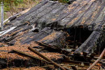 Abandoned building in a Chornobyl exclusion zone, Ukraine
