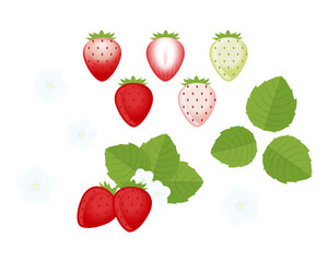 マーマレードジャム