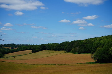 Fototapeta premium Views over farm fields and woodland