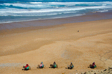 Mule-driven workers moving along a beach on the Atlantic Ocean in Morocco to collect molluscs from mussels. Beach and waves. 03-15-2023.
