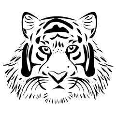 Fototapeta premium white tiger head