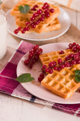 Waffles red currant and mint.
