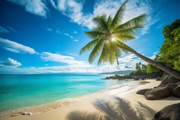 Naklejka na ściany i meble Sunny beach with coconut trees and clear sea