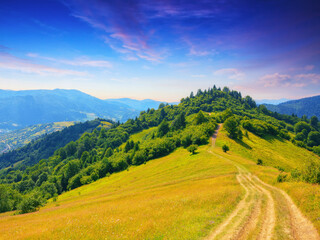 path through hills and grassy meadows. explore the mountainous countryside of transcarpathia. summer vacations in ukraine