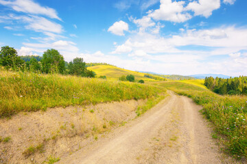 Fototapeta na wymiar lane through grassy meadow. green hills rolling in to the distance. blue sky above the distant mountain ridge on the horizon. rural tourism in summer. explore countryside of ukraine