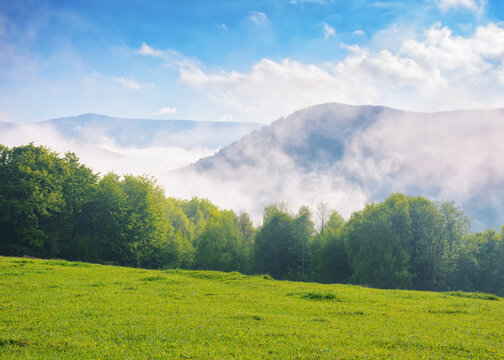 carpathian countryside with grassy meadows. green grassy field on the hills in spring. distant valley full of fog