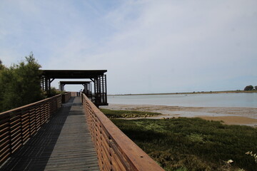 bridge over the river