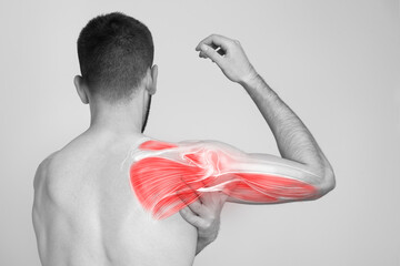 Shoulder muscle and nerve pain, man holding painful zone injured point, human body anatomy - obrazy, fototapety, plakaty