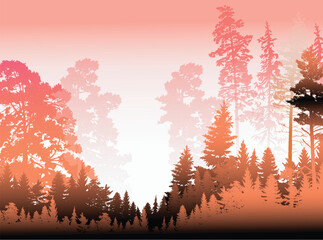 Fototapeta na wymiar bright orange firtrees forest on white background