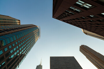 Downtown Chicago Skyscraper Skyline