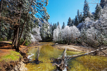 Spring in Yosemite