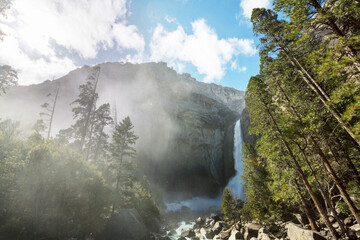 Spring in Yosemite